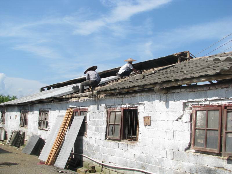 dvubb 图片点击可在新窗口打开查看