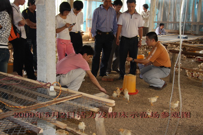 dvubb 按此在新窗口浏览图片