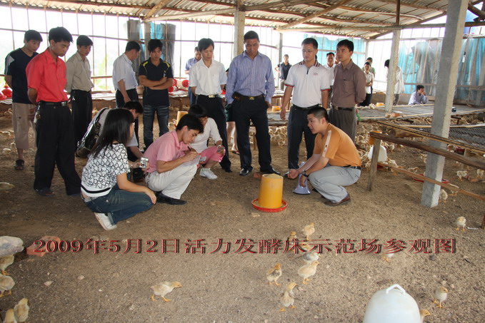 dvubb 按此在新窗口浏览图片