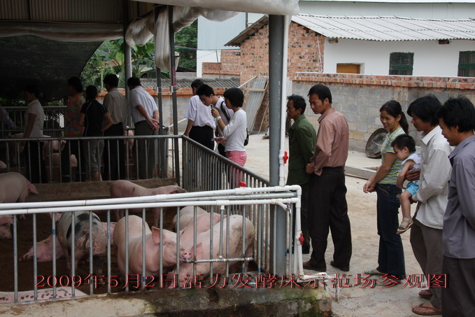 dvubb 按此在新窗口浏览图片