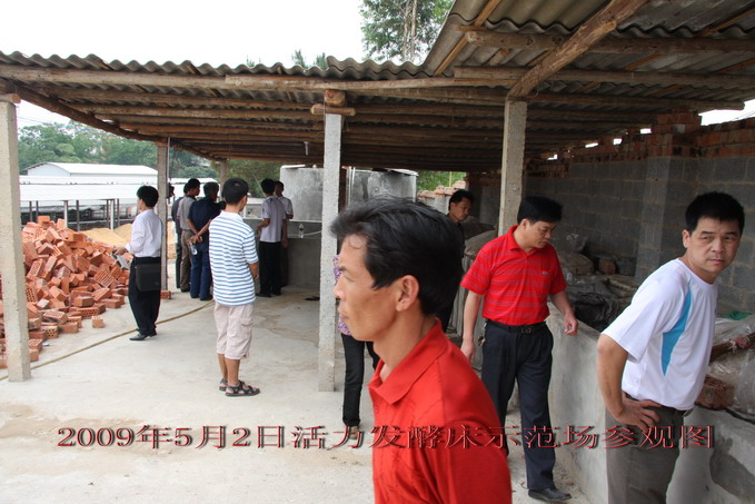 dvubb 图片点击可在新窗口打开查看