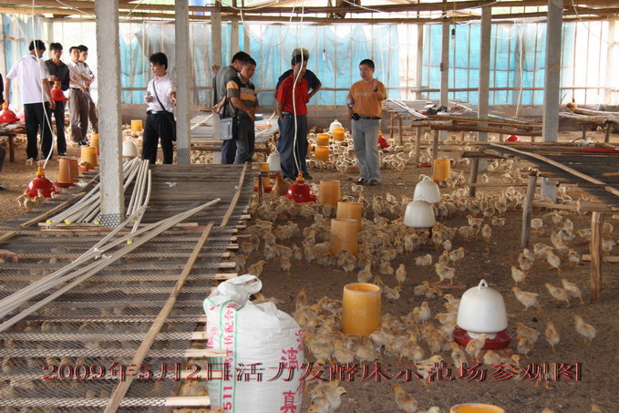 dvubb 图片点击可在新窗口打开查看