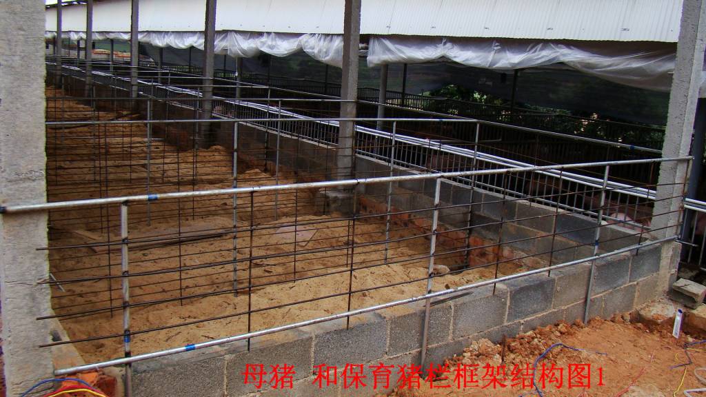 主题:[贴图]发酵床母猪与保育猪栏舍的建造日记
