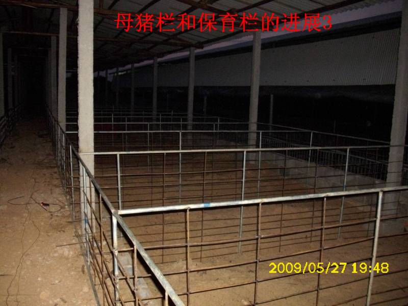 主题:[贴图]发酵床母猪与保育猪栏舍的建造日记