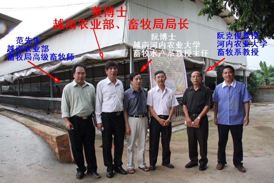 越南畜牧高级官员与教授专门来南宁考察活力发酵床技术