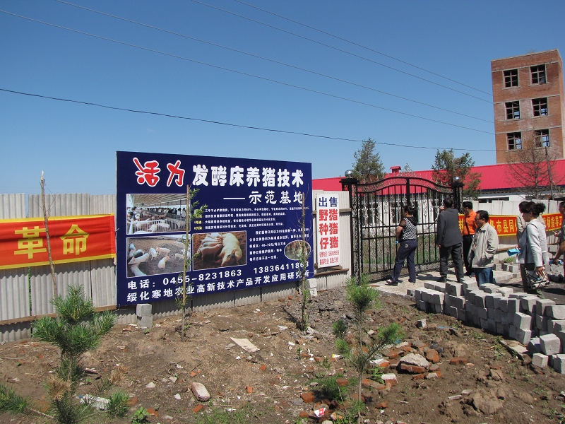 活力发酵床技术在黑龙江绥化市试验成功并大面积推广