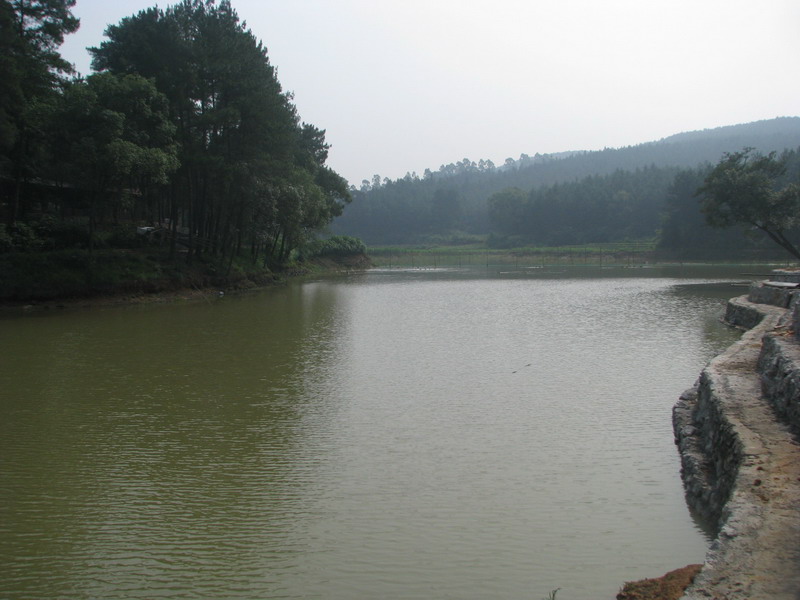 dvubb 图片点击可在新窗口打开查看