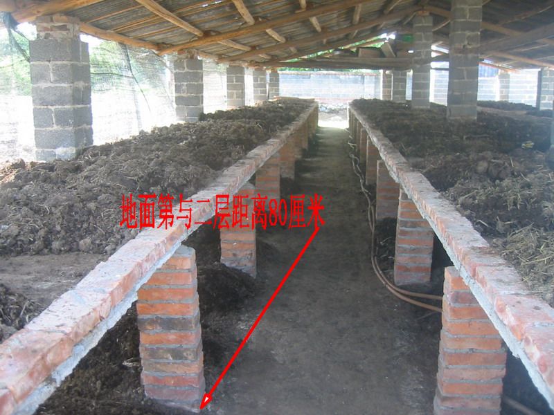 dvubb 按此在新窗口浏览图片