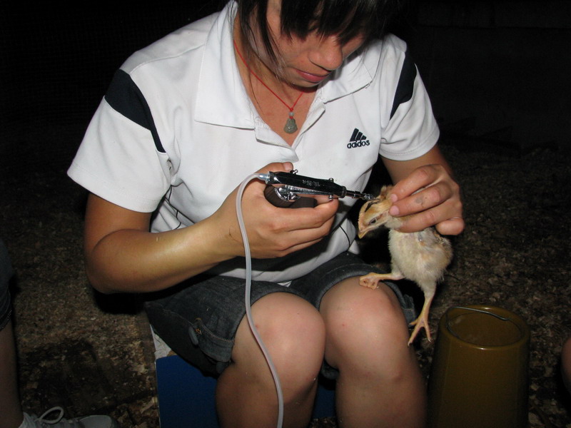 dvubb 图片点击可在新窗口打开查看