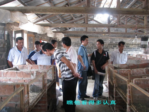 dvubb 图片点击可在新窗口打开查看