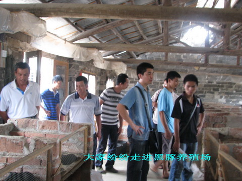 dvubb 图片点击可在新窗口打开查看