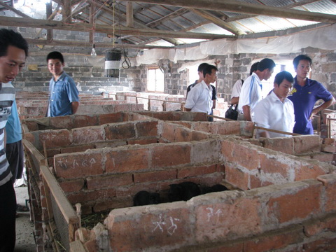 dvubb 图片点击可在新窗口打开查看