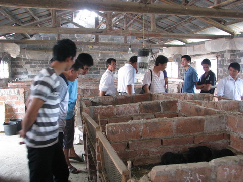 dvubb 图片点击可在新窗口打开查看