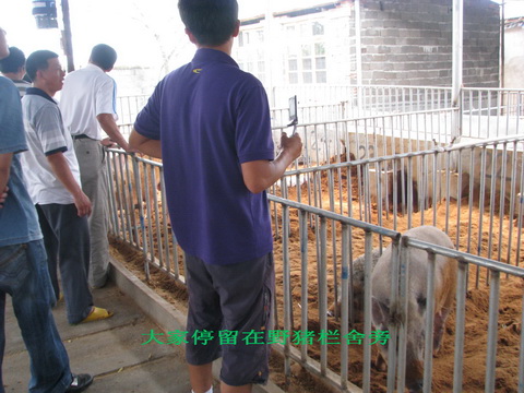 dvubb 图片点击可在新窗口打开查看