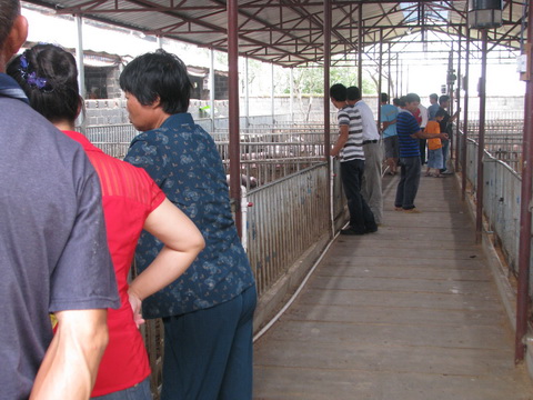 dvubb 图片点击可在新窗口打开查看