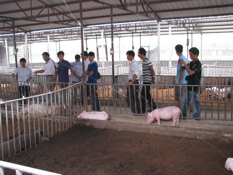 dvubb 图片点击可在新窗口打开查看