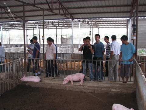 dvubb 图片点击可在新窗口打开查看