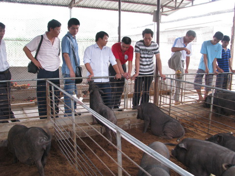 dvubb 图片点击可在新窗口打开查看