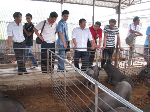 dvubb 图片点击可在新窗口打开查看