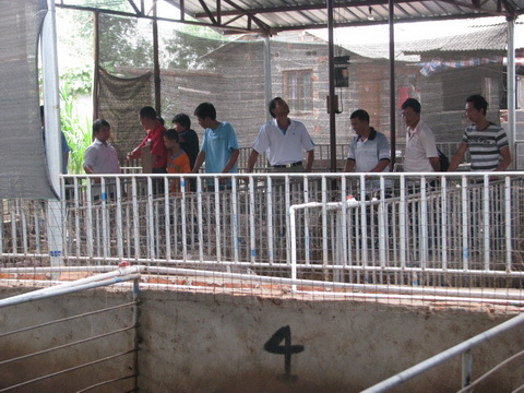 dvubb 图片点击可在新窗口打开查看