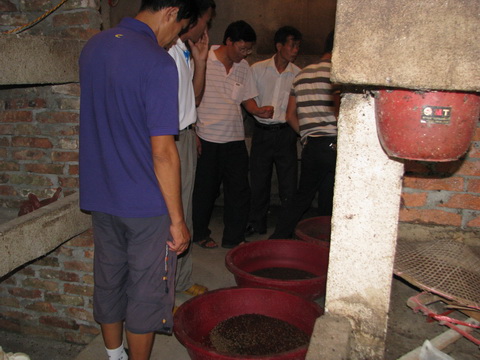 dvubb 图片点击可在新窗口打开查看