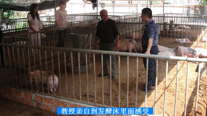 dvubb 按此在新窗口浏览图片