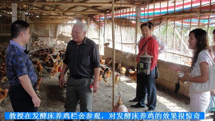 dvubb 按此在新窗口浏览图片