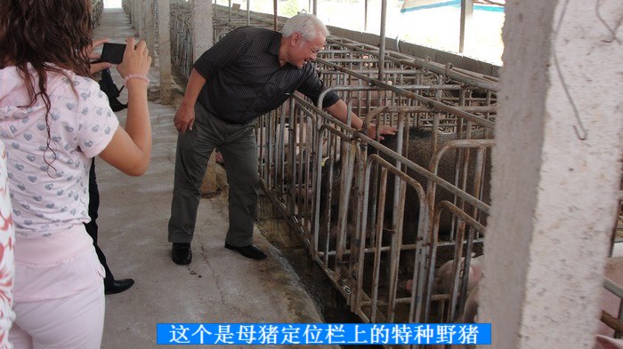 dvubb 按此在新窗口浏览图片