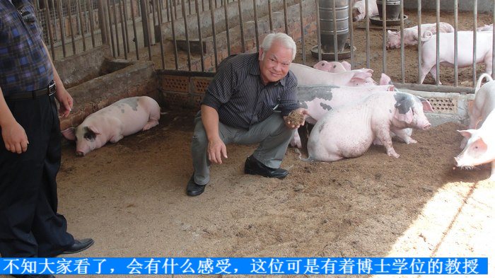 dvubb 按此在新窗口浏览图片