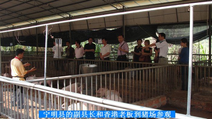 dvubb 按此在新窗口浏览图片