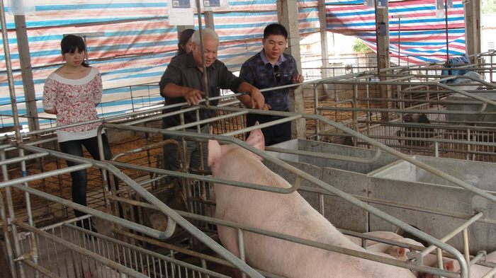 dvubb 按此在新窗口浏览图片