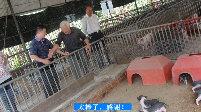 dvubb 按此在新窗口浏览图片