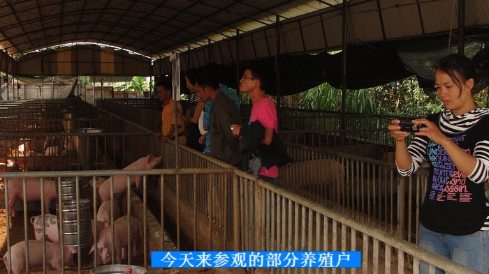 dvubb 按此在新窗口浏览图片