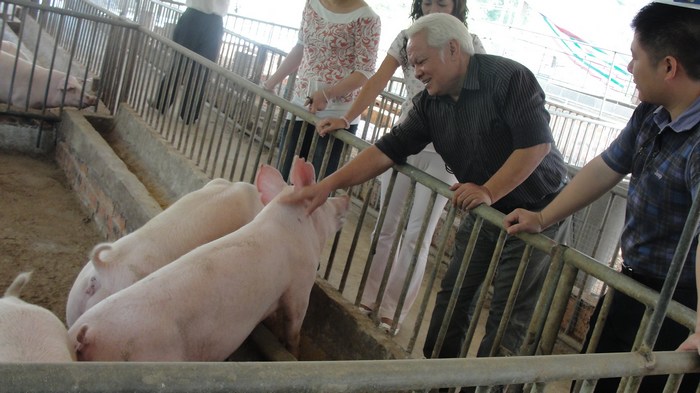 dvubb 按此在新窗口浏览图片