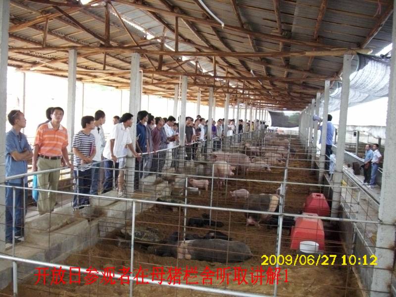 dvubb 图片点击可在新窗口打开查看