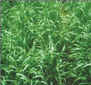 dvubb 按此在新窗口浏览图片