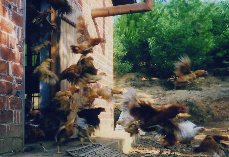 dvubb 按此在新窗口浏览图片