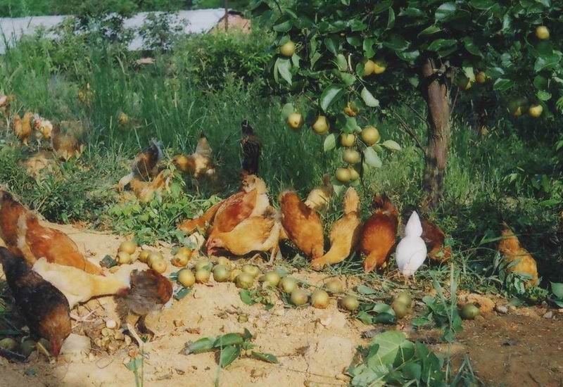 dvubb 按此在新窗口浏览图片