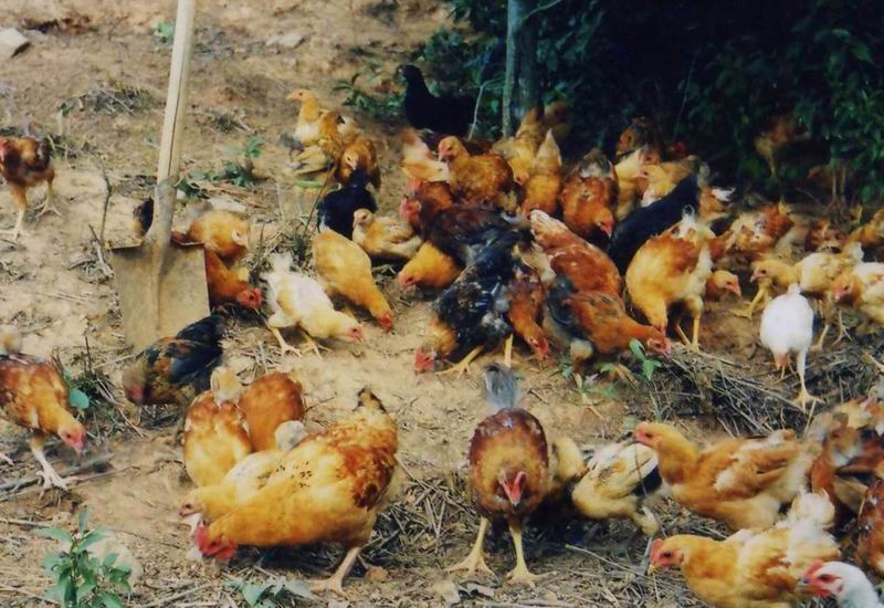 dvubb 按此在新窗口浏览图片