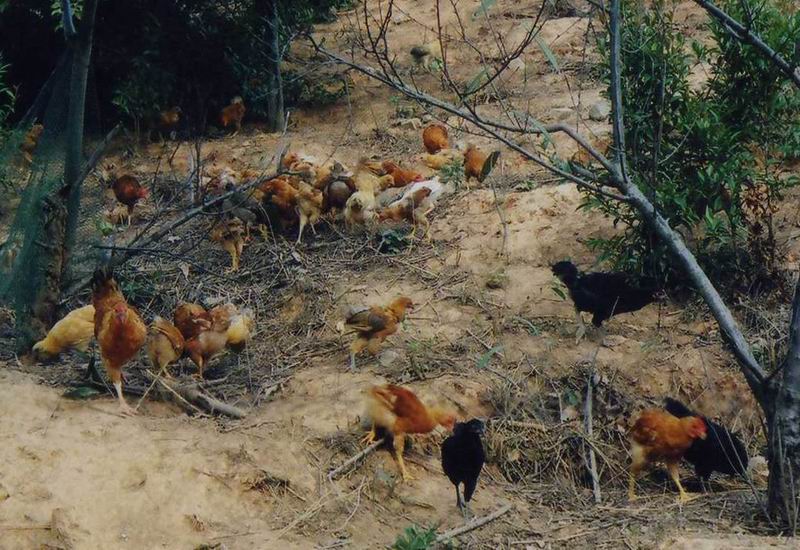 dvubb 按此在新窗口浏览图片