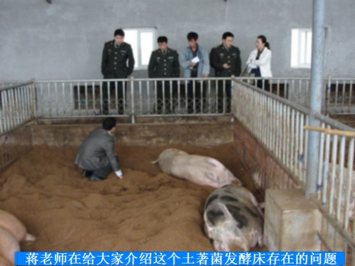 dvubb 按此在新窗口浏览图片