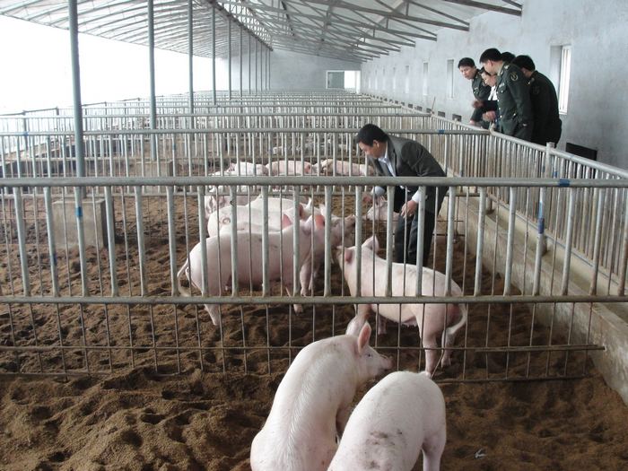 dvubb 按此在新窗口浏览图片