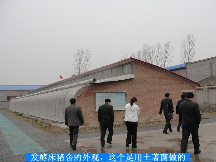 dvubb 按此在新窗口浏览图片