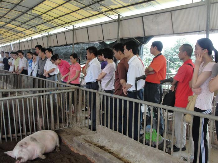 宾阳县团委组织60位养殖户前来取经