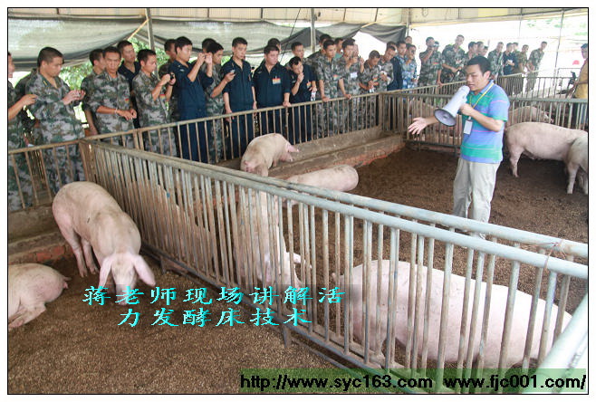 点击在新窗口打开