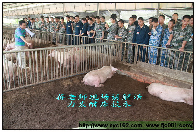 点击在新窗口打开