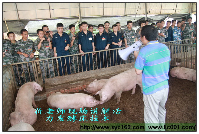 点击在新窗口打开