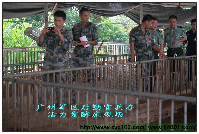 点击在新窗口打开