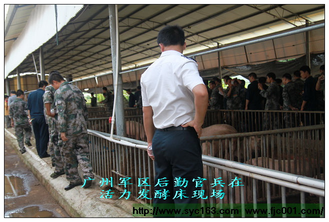 点击在新窗口打开