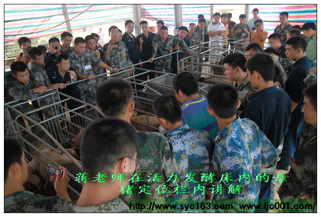 点击在新窗口打开